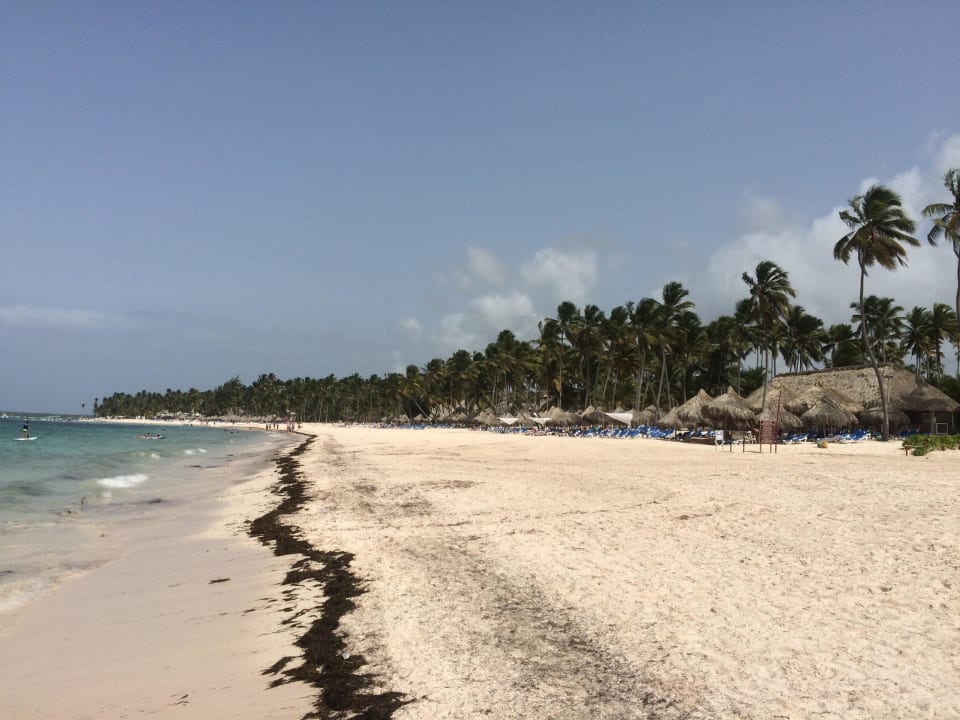 Strand Meliá Caribe Beach Resort-All Inclusive