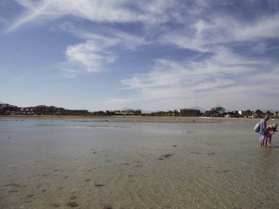 Strand bei Ebbe JAZ Aquamarine Resort