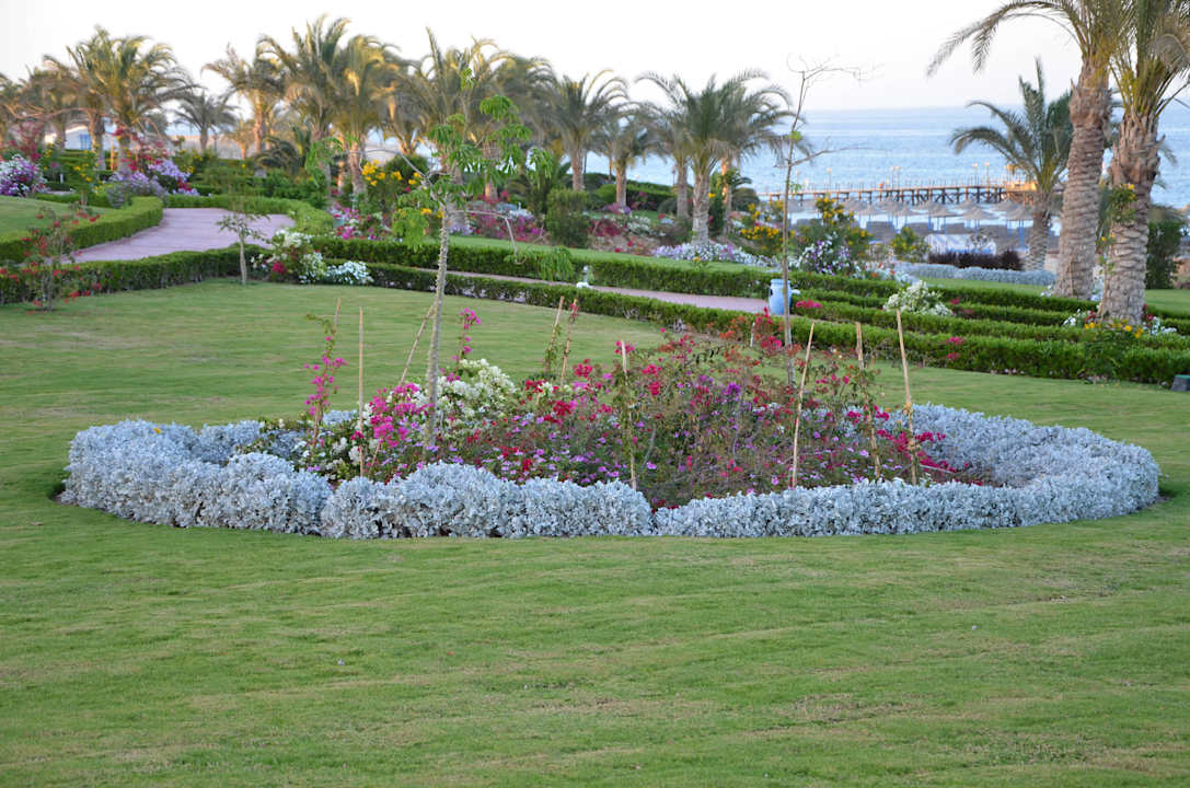 Gartenanlage Fantazia Resort Marsa Alam