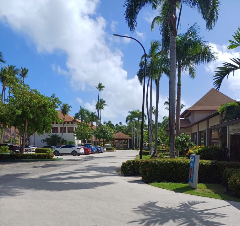 Sonstiges Hotel Grand Palladium Palace Resort, Spa & Casino