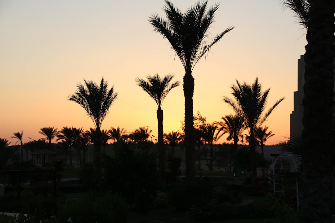 Sonnenuntergang JAZ Neo Saraya Palms