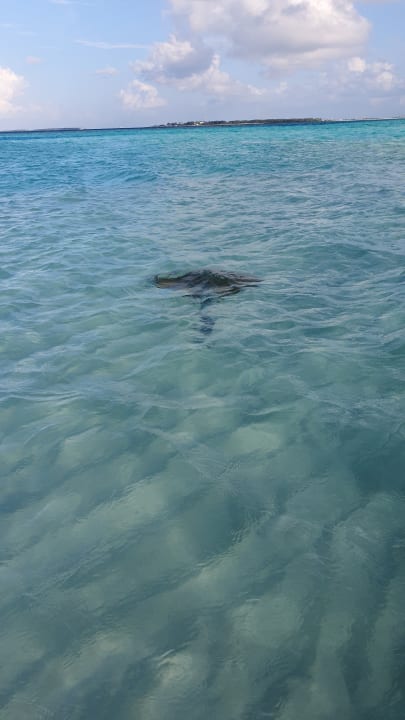 Ausblick Hotel Riu Atoll