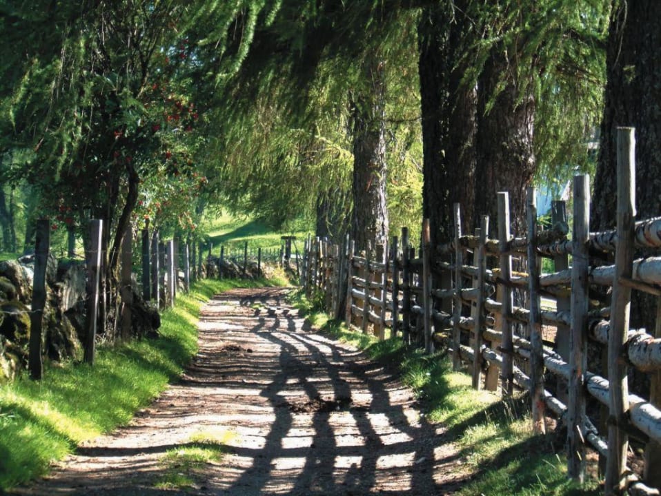 Sportanlagen/Freizeitangebot Hotel Zirmerhof