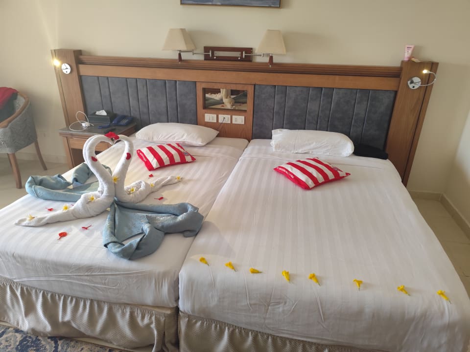 Zimmer Serenity Alpha Beach