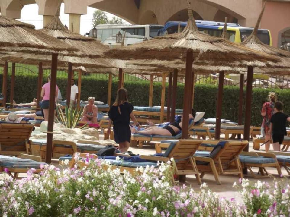 Ruhepool Pickalbatros Alf Leila Wa Leila Resort - Neverland Hurghada