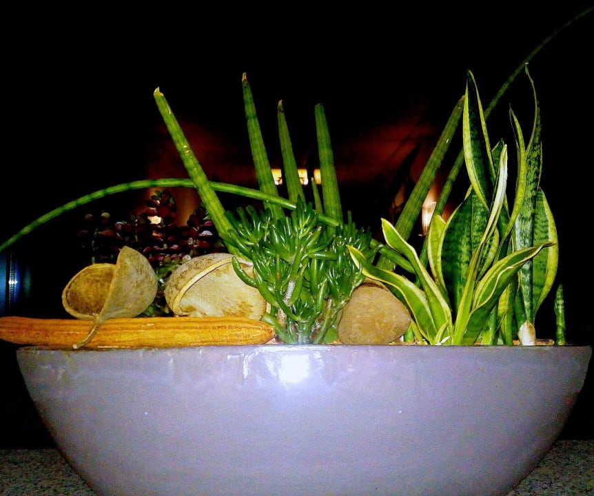 Blume im Hotelflur Dorint Hotel Pallas Wiesbaden