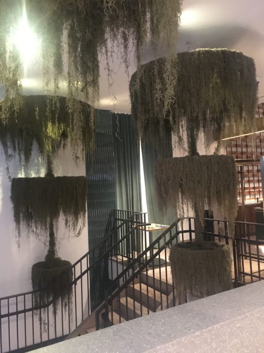 Sonstiges Arlo Midtown