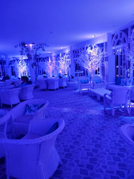 Sonstiges Desert Rose