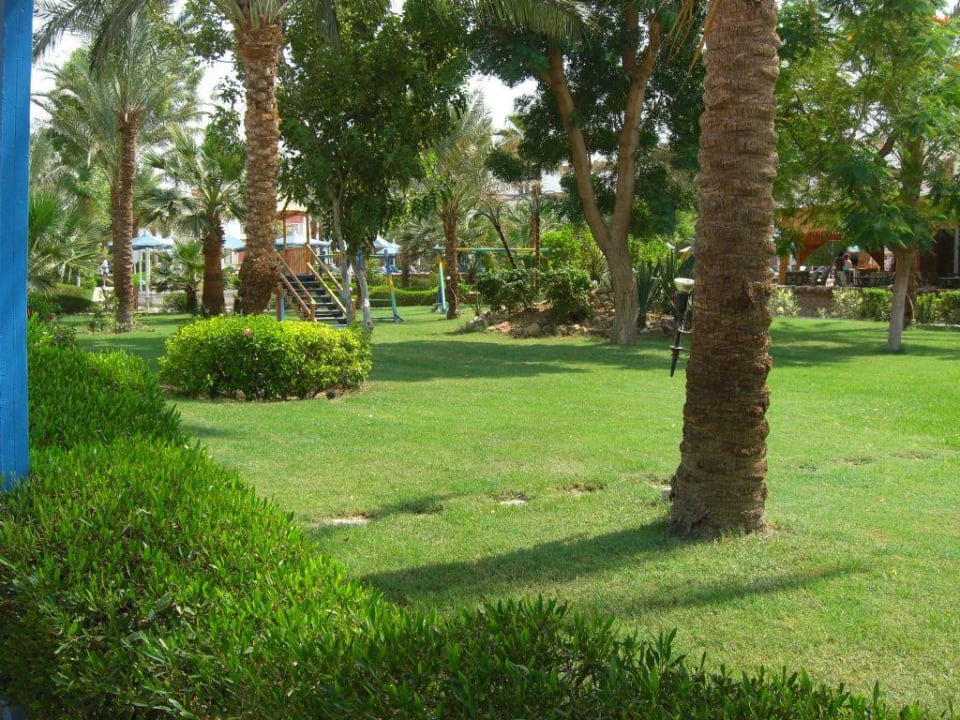 Schöne gepflegte Gartenanlage Albatros Sharm Resort