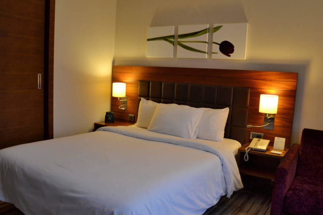 Zimmerbeispiel Hilton Garden Inn Konya