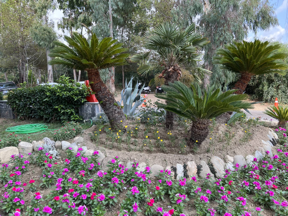 Gartenanlage Seaden Valentine Resort & Spa