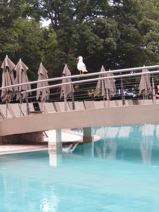 Gartenanlage HVD Viva Club Hotel