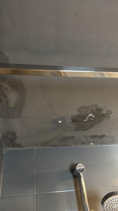 Zimmer Caramelo Palma Beach