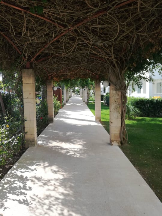 Gang zur Lobby oder Restaurant Prinsotel La Dorada