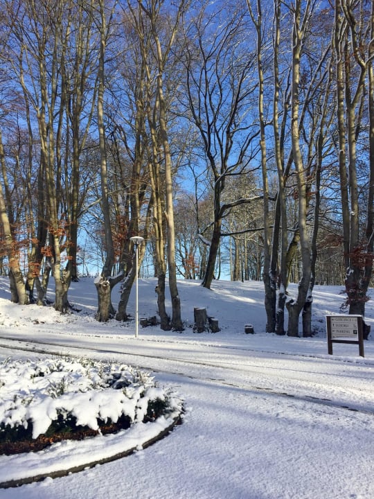 Przed wejściem Hotel Aubrecht Country Spa Resort