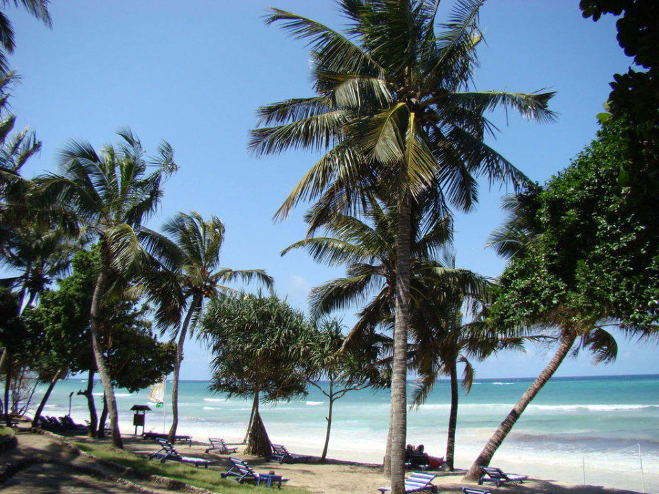 Plaża Kaskazi Beach Resort