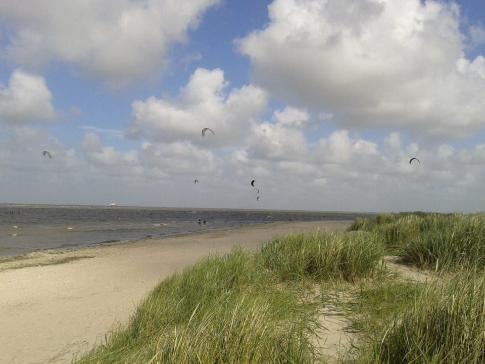 Der Strand von Schillig Ferienwohnungen im Hus Jadekieker