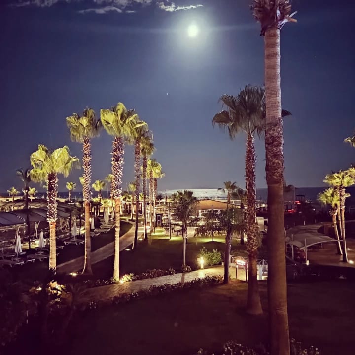 Ausblick TUI BLUE Palm Garden