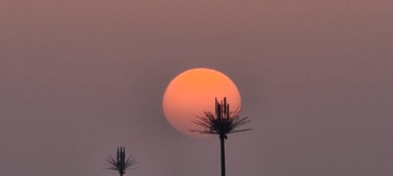 Ausblick Rixos The Palm Hotel & Suites