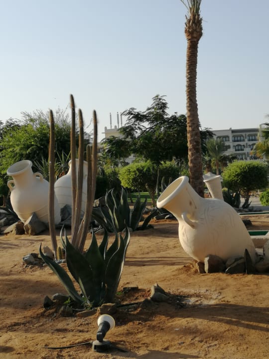 Garten Steigenberger Aqua Magic