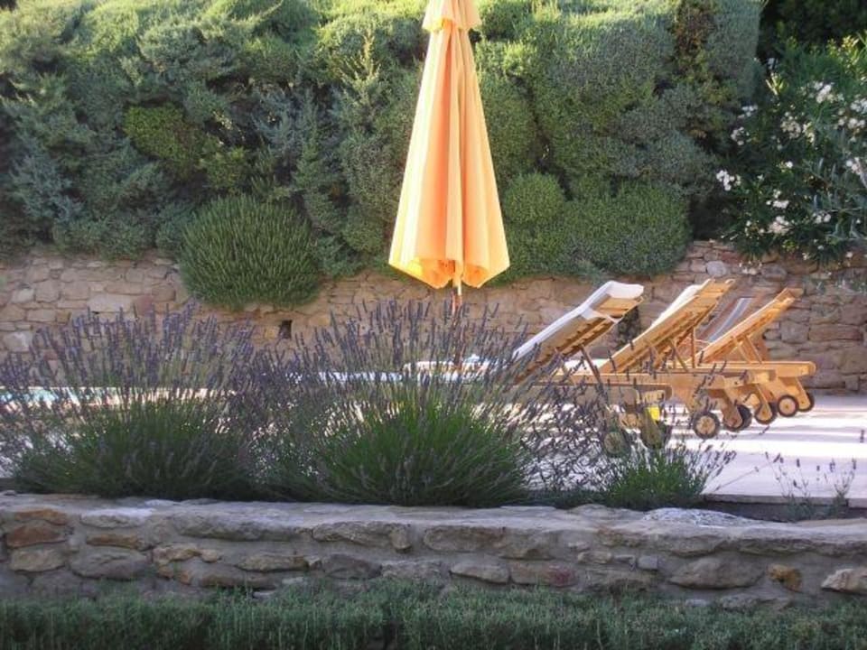 Zwembad/pool Chambres d'hôtes Mas d'Oléandre