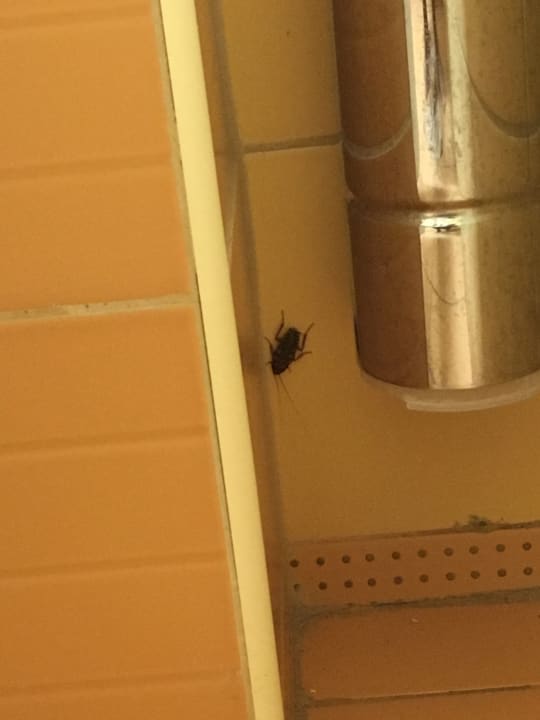 Zimmer SBH Costa Calma Beach Resort