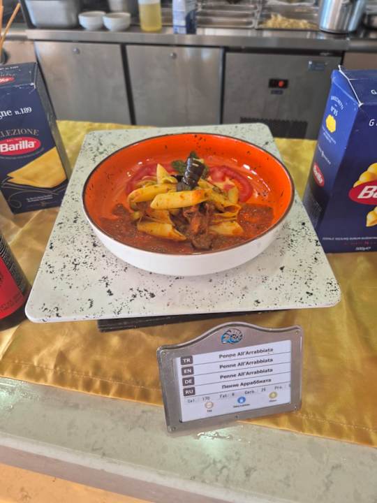 Gastro Seashell Vega