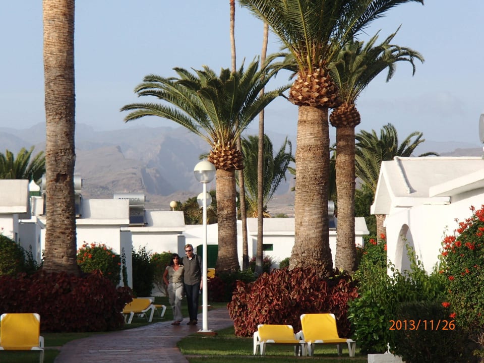 Ruhe geniesen Canary Garden Club