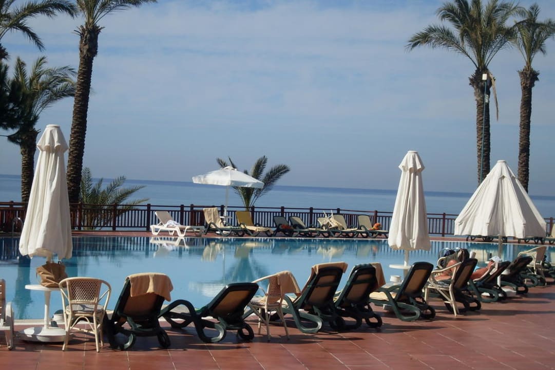 Einfach schön PALOMA Perissia