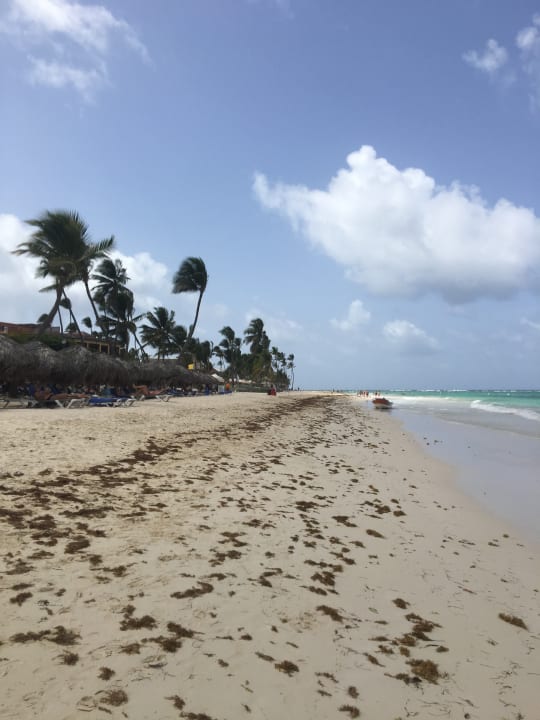 Strand Punta Cana Princess All Suites Resort & Spa
