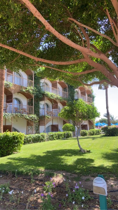 Gartenanlage Desert Rose