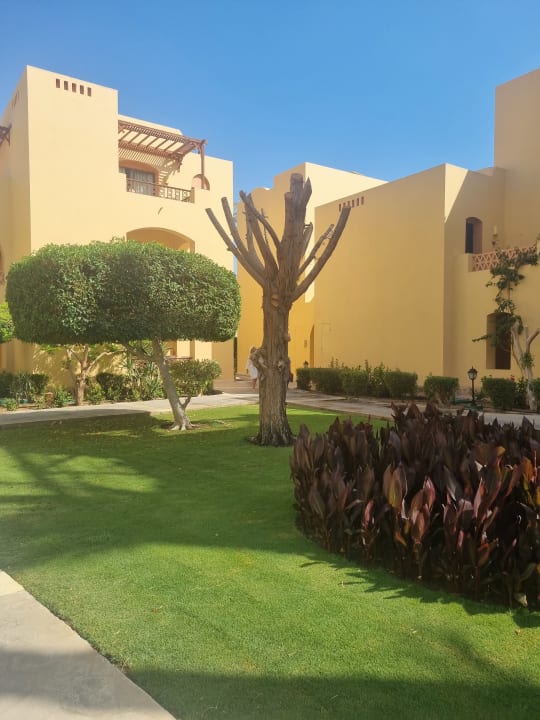 Gartenanlage Steigenberger Coraya Beach - Adults only