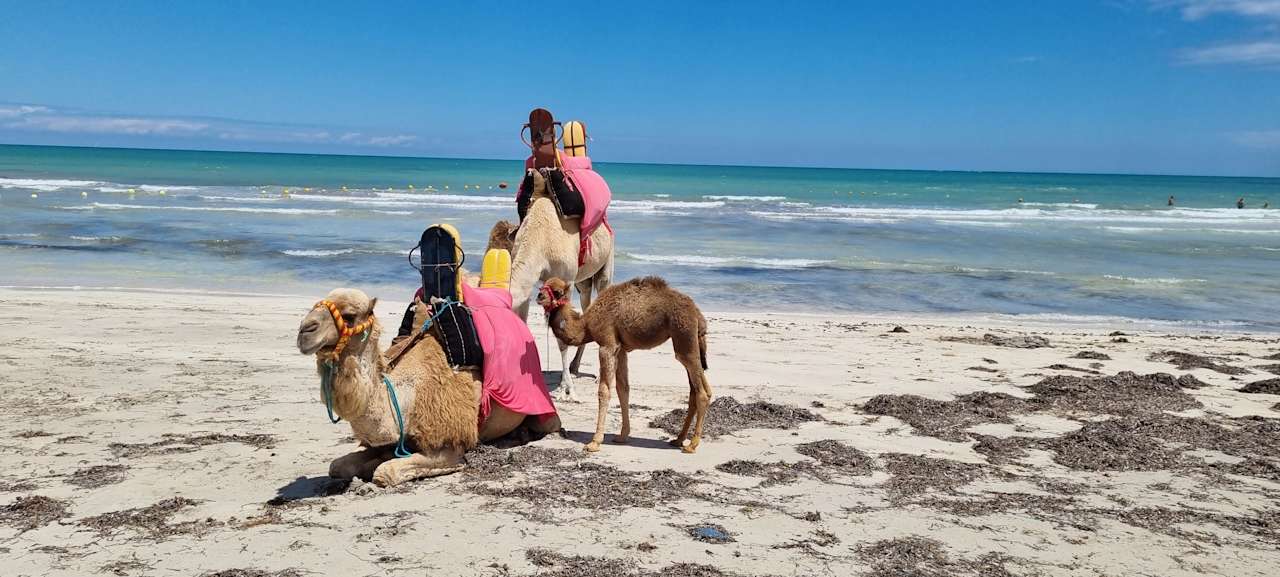 Strand Iberostar Waves Mehari Djerba