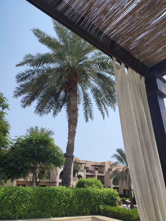 Pool Miramar Al Aqah Beach Resort