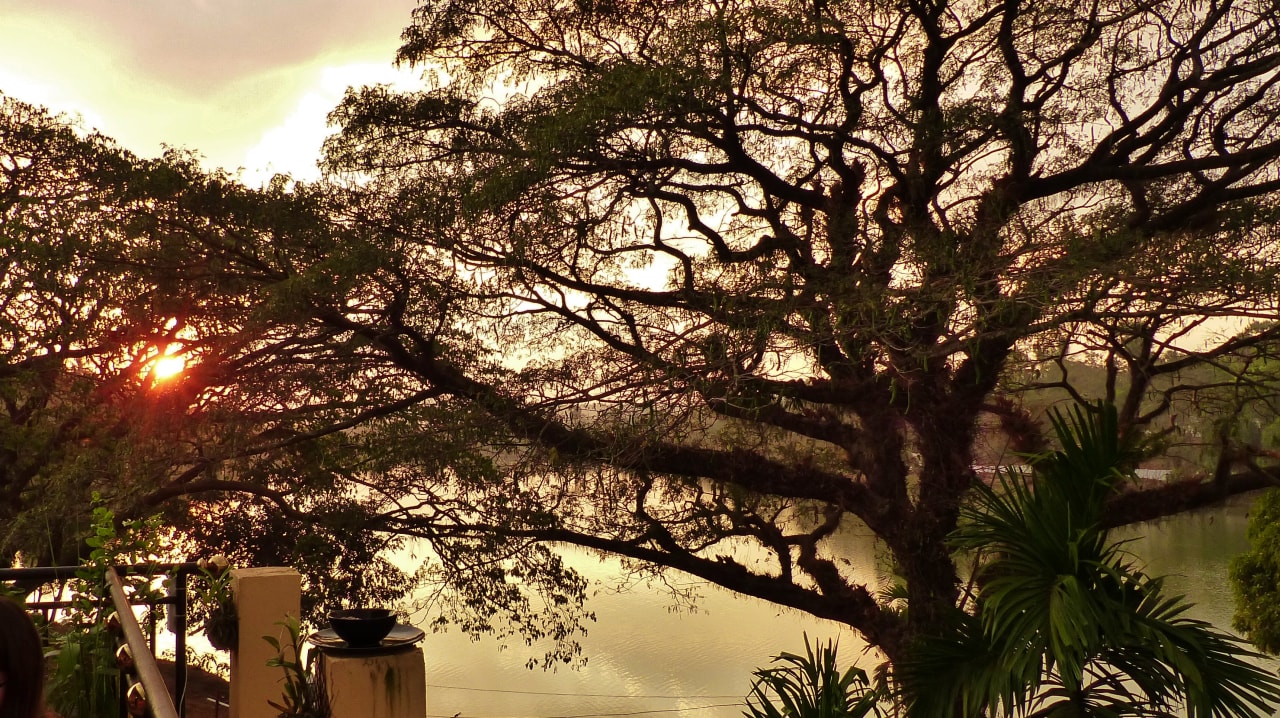 Ausblick Starlight Guesthouse