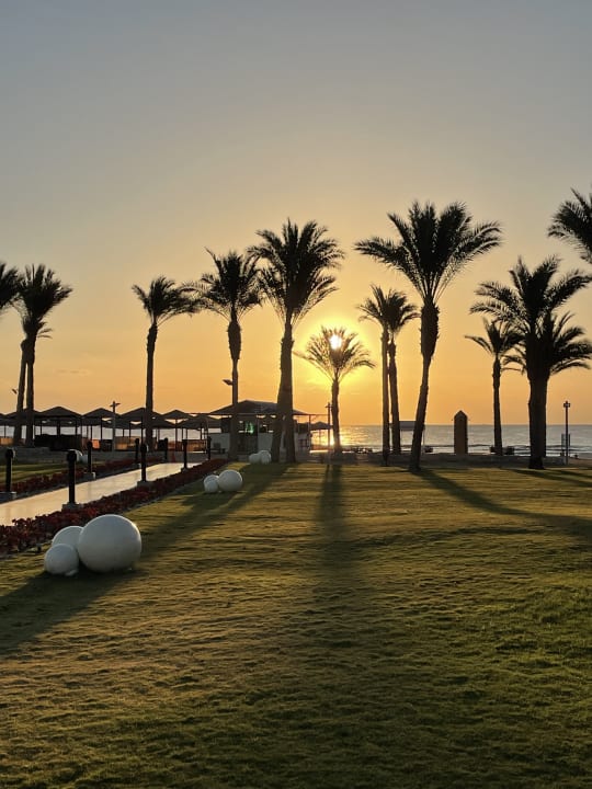 Gartenanlage Pickalbatros Palace Hotel-Port Ghalib