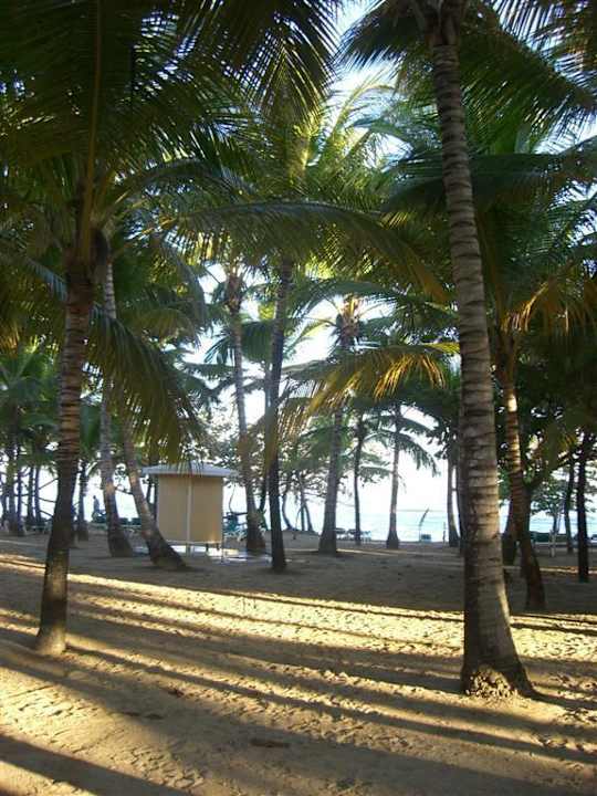 Strand Playabachata Hotel