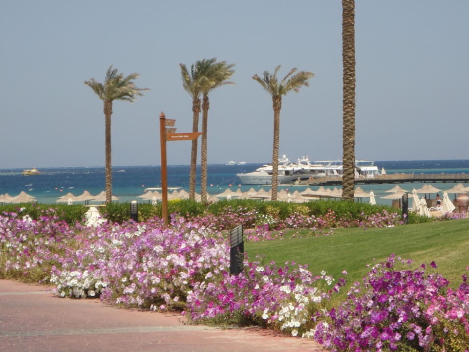 Blick auf den Strand Cleopatra Luxury Resort Makadi Bay