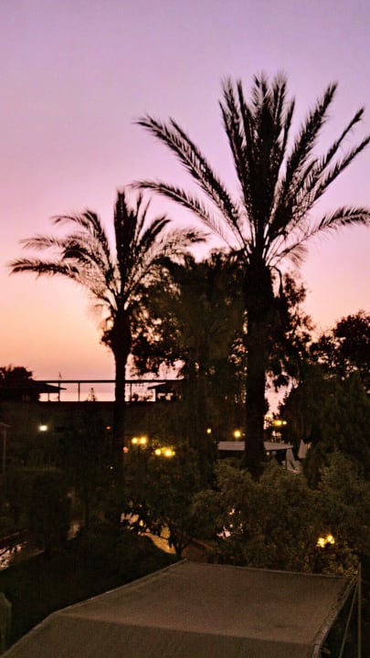 Территория утром на рассвете Armas Gül Beach