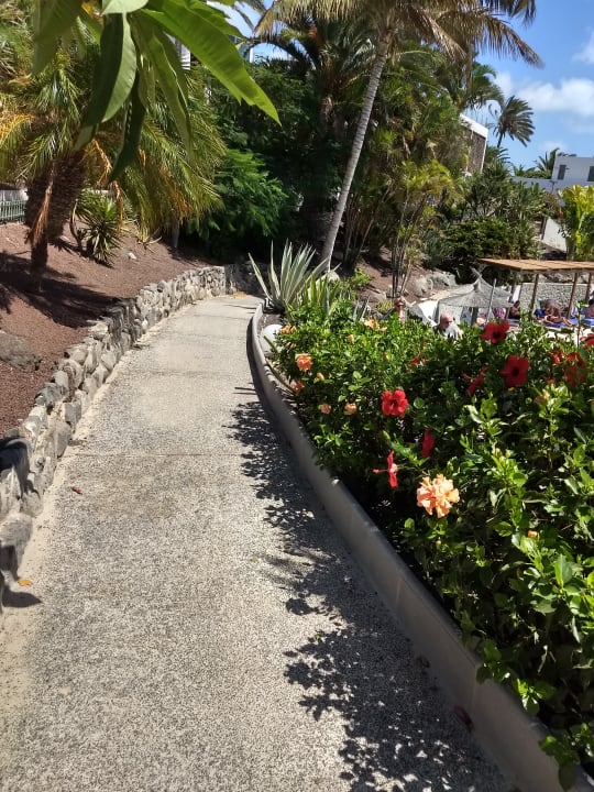 Gartenanlage allsun App.-Hotel Esquinzo Beach