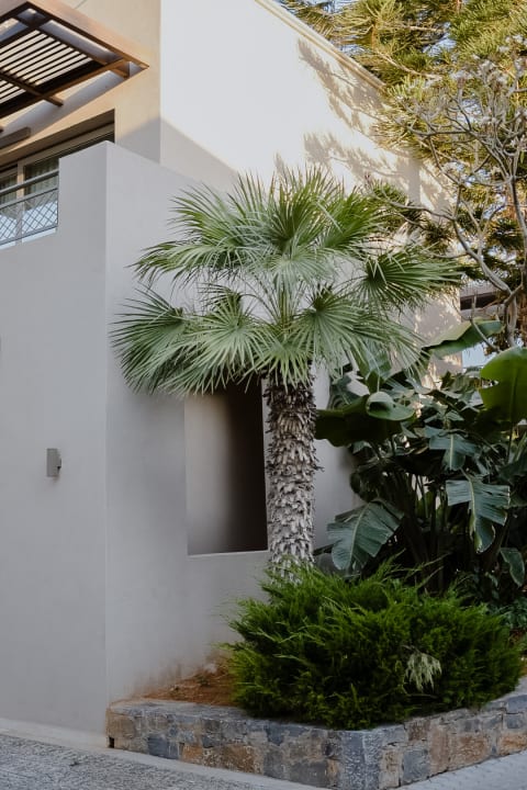 Gartenanlage Nana Golden Beach