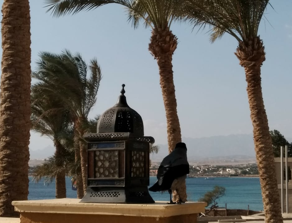 Ausblick Grand Waterworld Makadi & Family Star Makadi