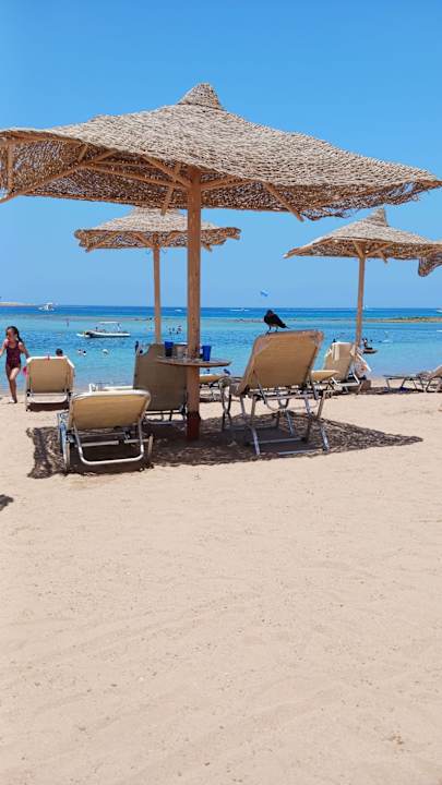 Strand Jaz Makadi Oasis Resort