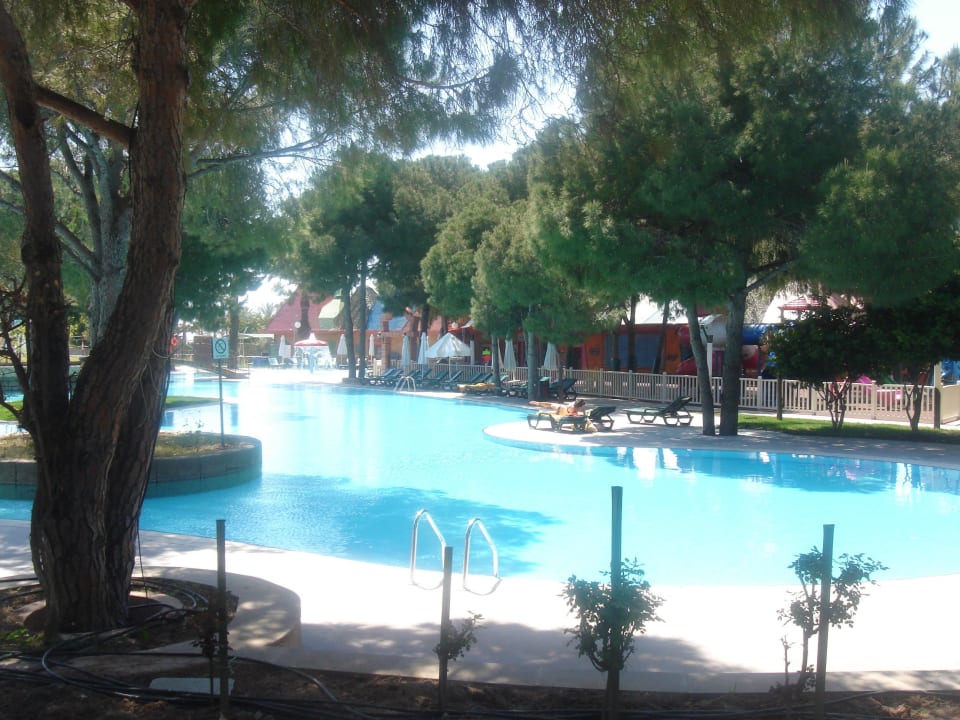 Dolní bazén Papillon Ayscha