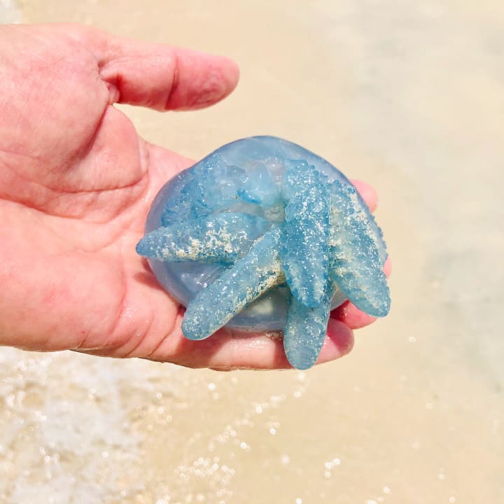 Strand Le Royal Méridien Beach Resort & Spa Dubai