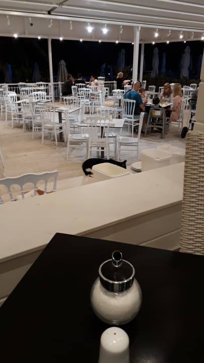 Gastro Olympian Bay Grand Resort