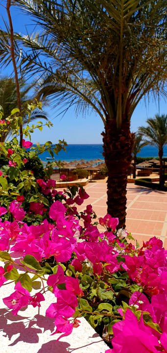 Ausblick JAZ Dahabeya