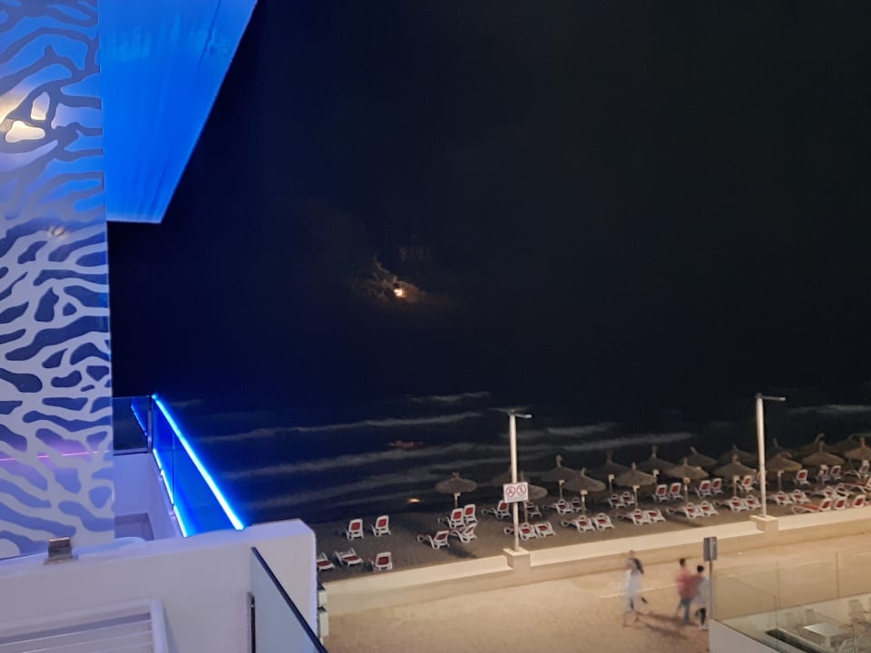 Ausblick The Sea Hotel by Grupotel - Adults only