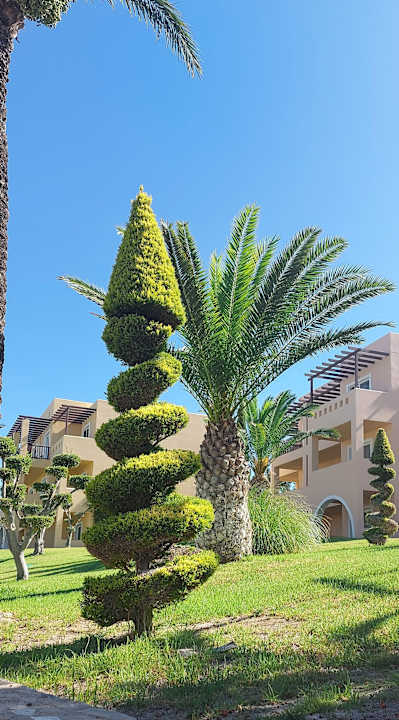 Gartenanlage Hotel Horizon Beach Resort