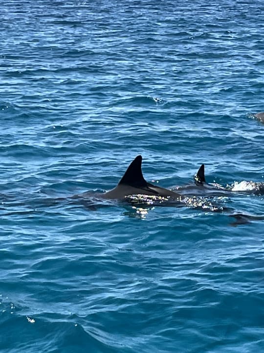 Sport & Freizeit Hotel Three Corners Ocean View prestige - Adults only